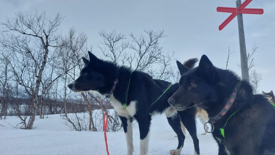akaskero_tagestour_017